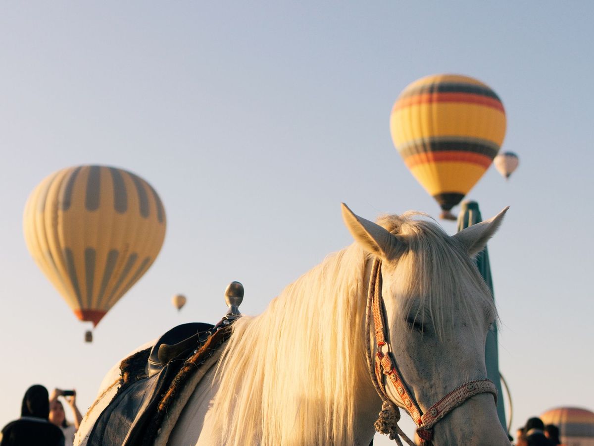 Sunset Horse Ride